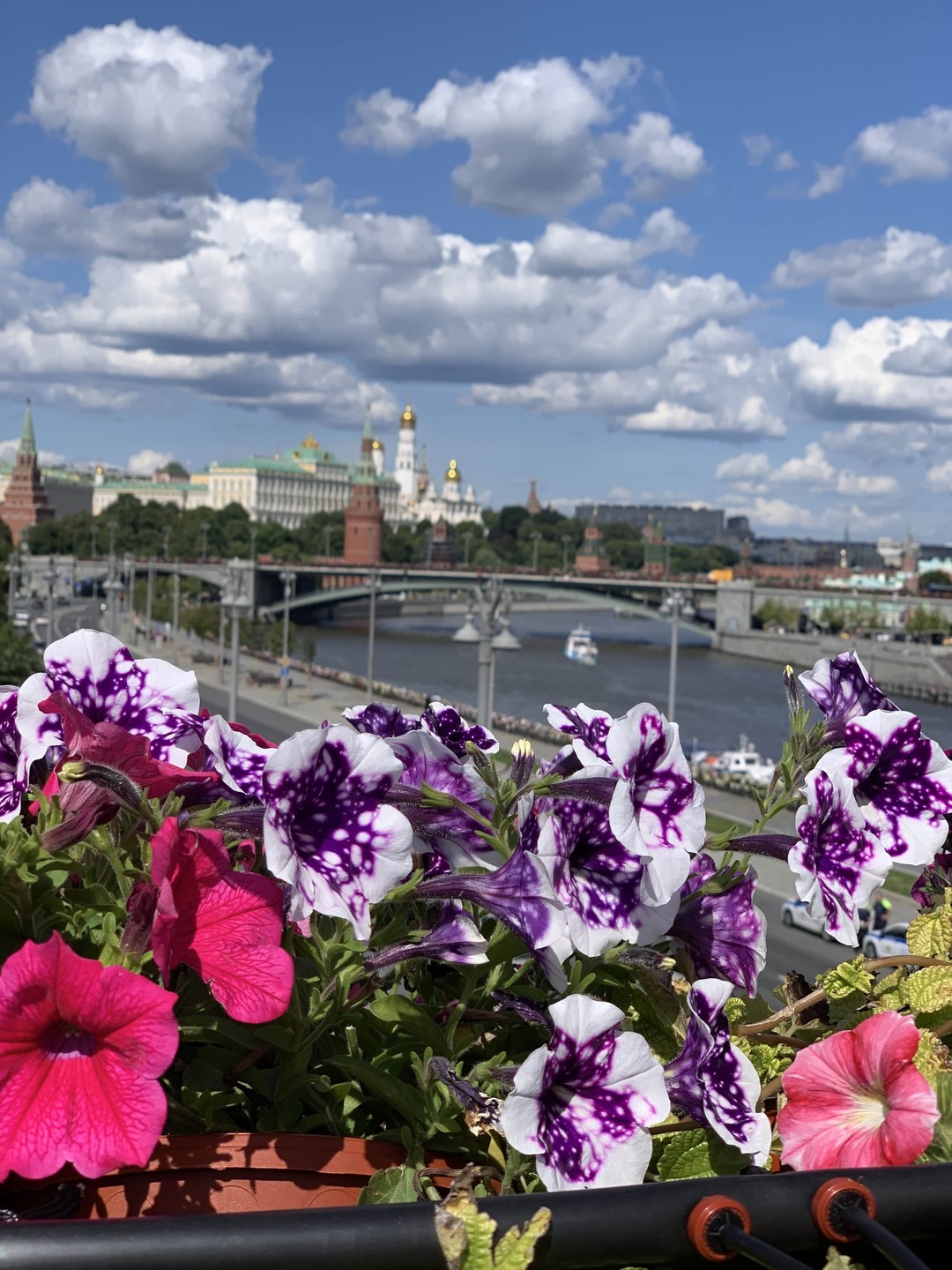 Групповая экскурсия в храм Христа Спасителя (Анна)