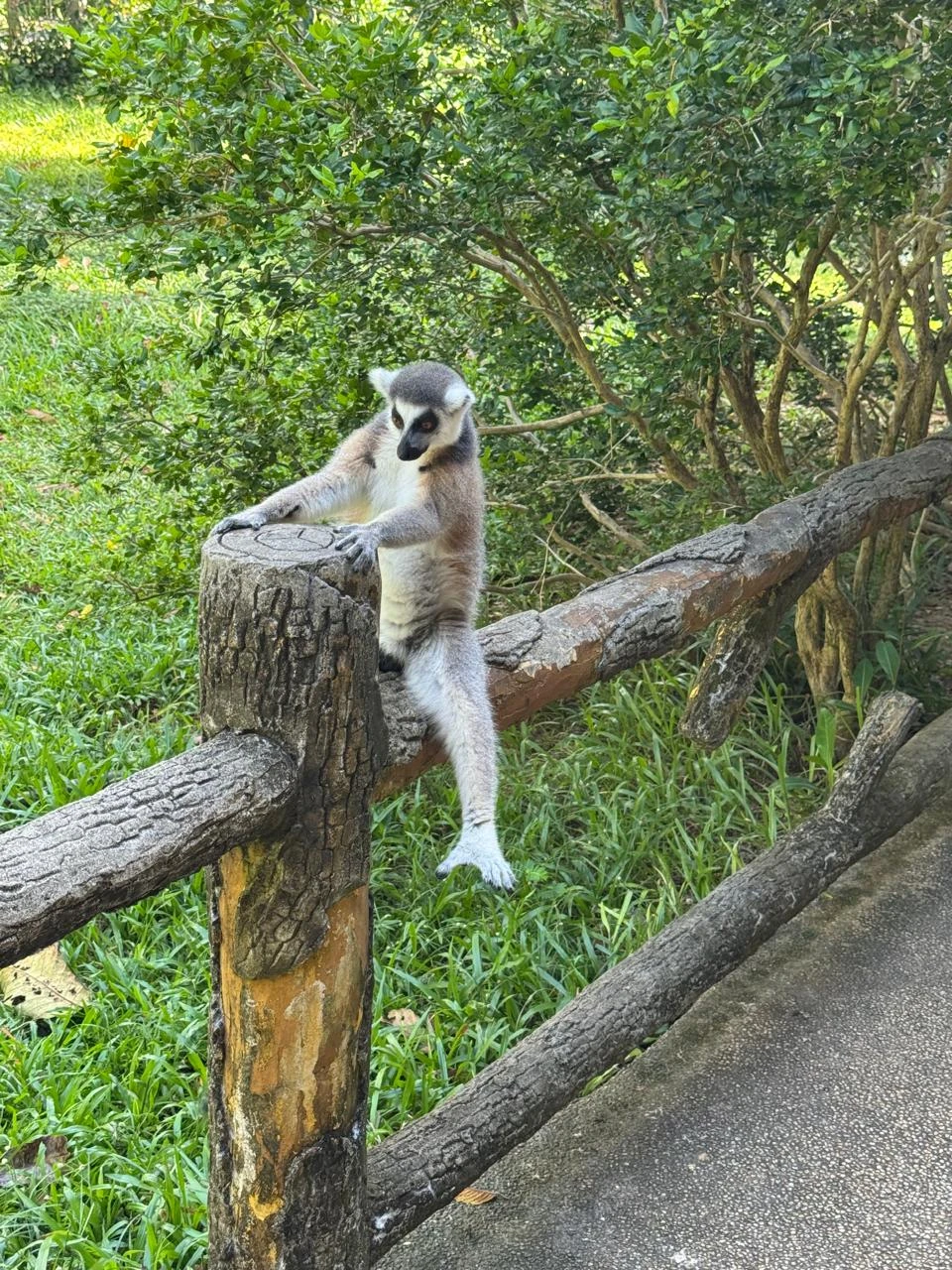 Большое спасибо Сергею и гиду Василию за отлично спланированную и проведенную экскурсию. Были учтены все наши