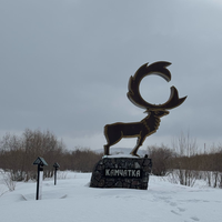 Фото отзыва 3: экскурсия "Фантастическая Камчатка со всех сторон!"