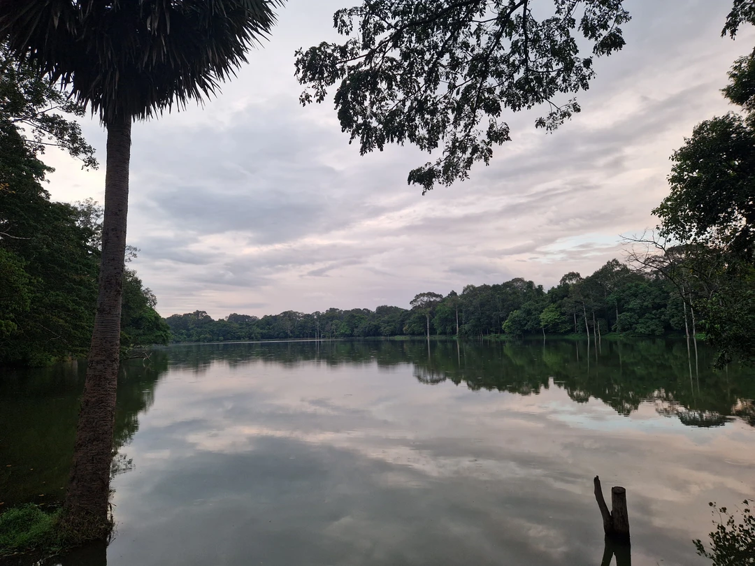 Присоединяюсь ко всем положительным отзывам, действительно отличная экскурсия. Мы были в Камбодже первый раз, специально приехали