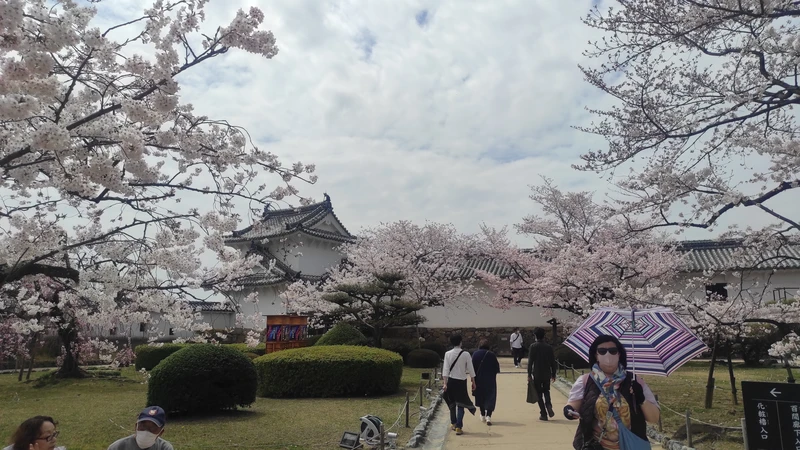 Из Осаки - в замок Белой цапли