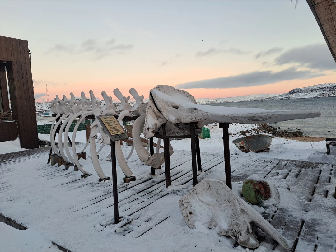 Путешествие в Териберку понравилось очень! По времени гид все идеально спланировал, во многие локации мы попали
