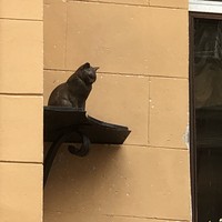 reviews img