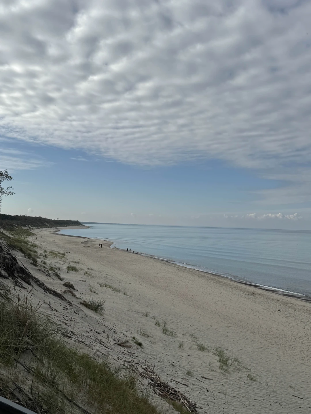 Нашей семье очень понравилась подача информации: не напряжно, но интересно и содержательно, без сухих дат и