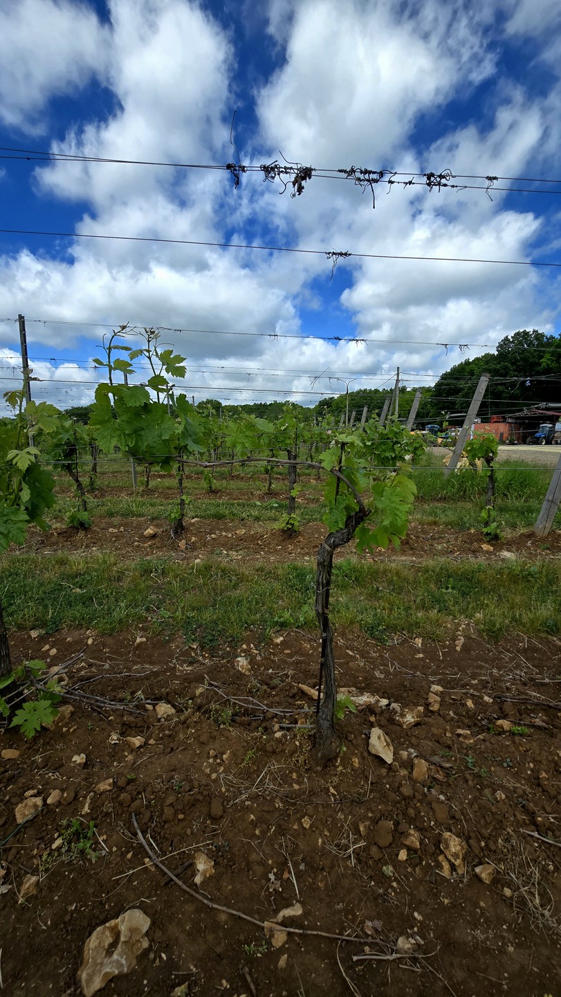 Прекрасно провели время благодаря Анастасии 🍇