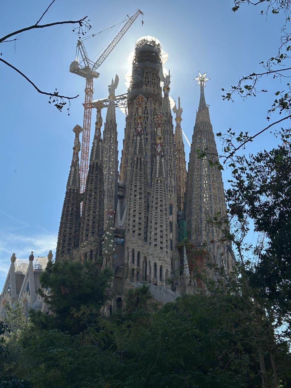 Экскурсия интересная, информативная. Галина рассказала об истории создания храма, его создателе Гауди, объяснила символику на фасаде