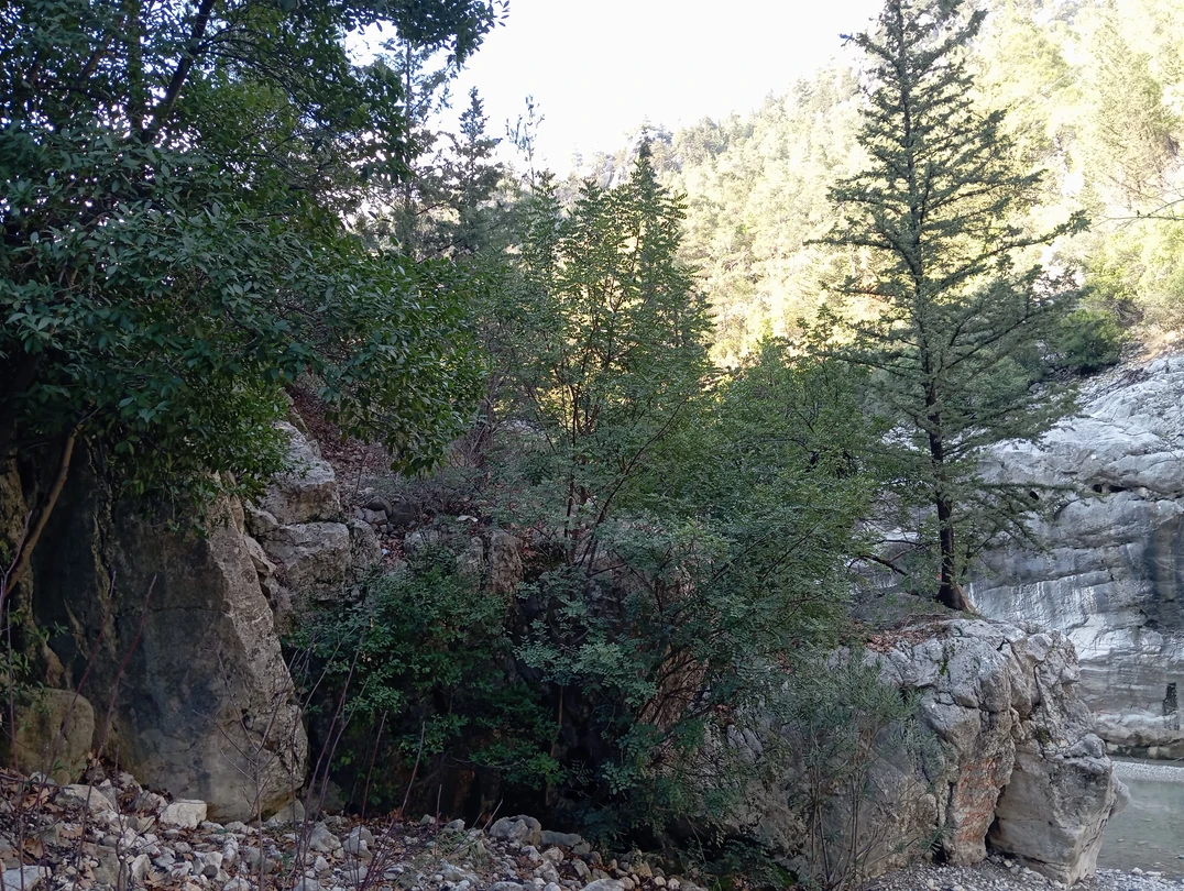 Поездка в горы с Алааддином стала лучшим событием нашего зимнего отдыха в Кемере