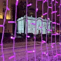 Фото отзыва 2: экскурсия "Новый год в Москве от Петра до наших дней: история праздничного освещения"