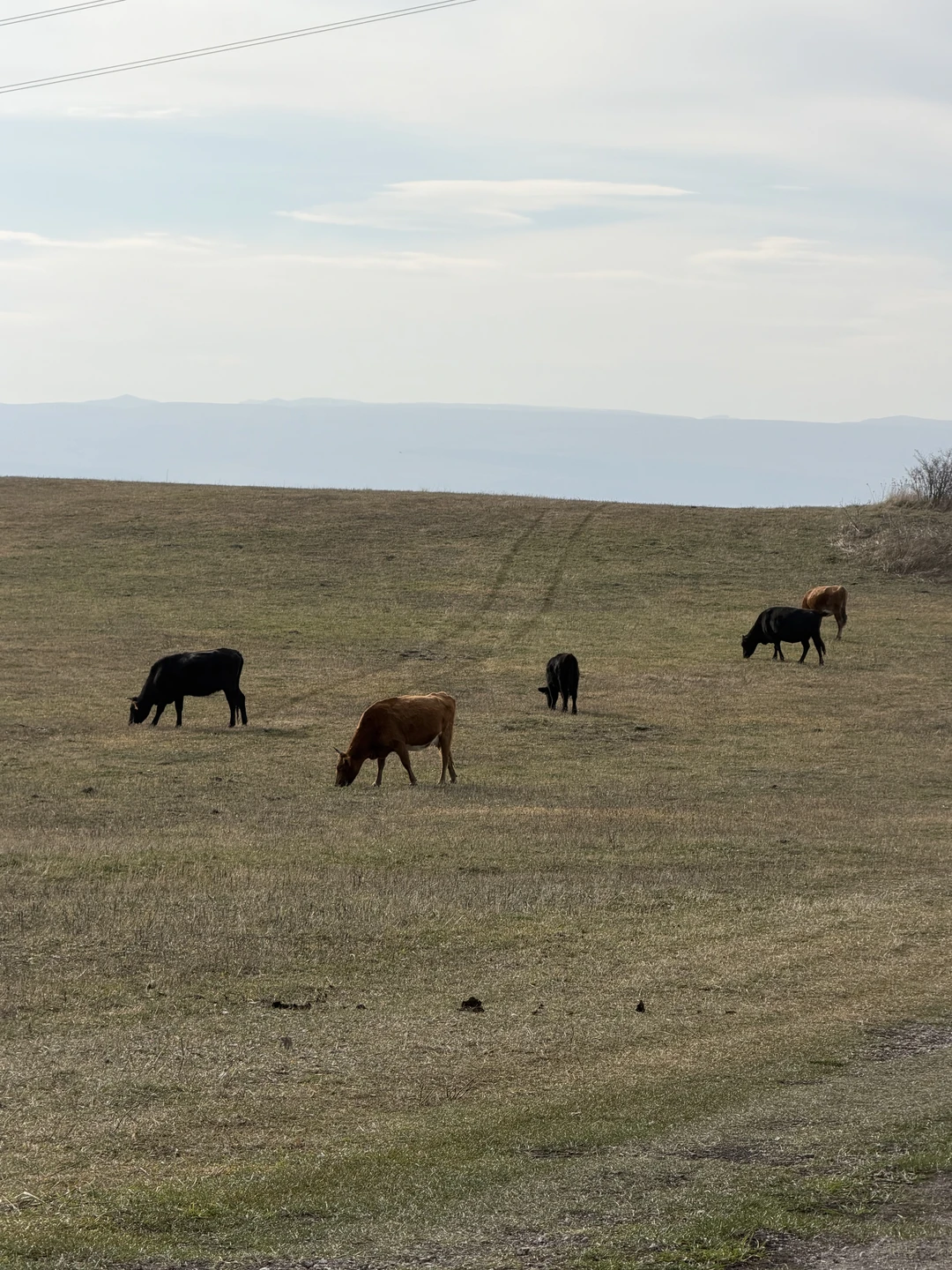 Относительно непродолжительный маршрут, но при этом неизбитый, с отличными видами. В Кисловодске не первый раз, но