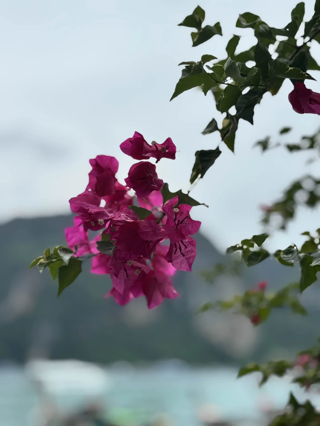 Не смотря на погодные условия. Экскурсия была очень увлекательной. Команда очень позитивная. Места удивительные. Крутые у
