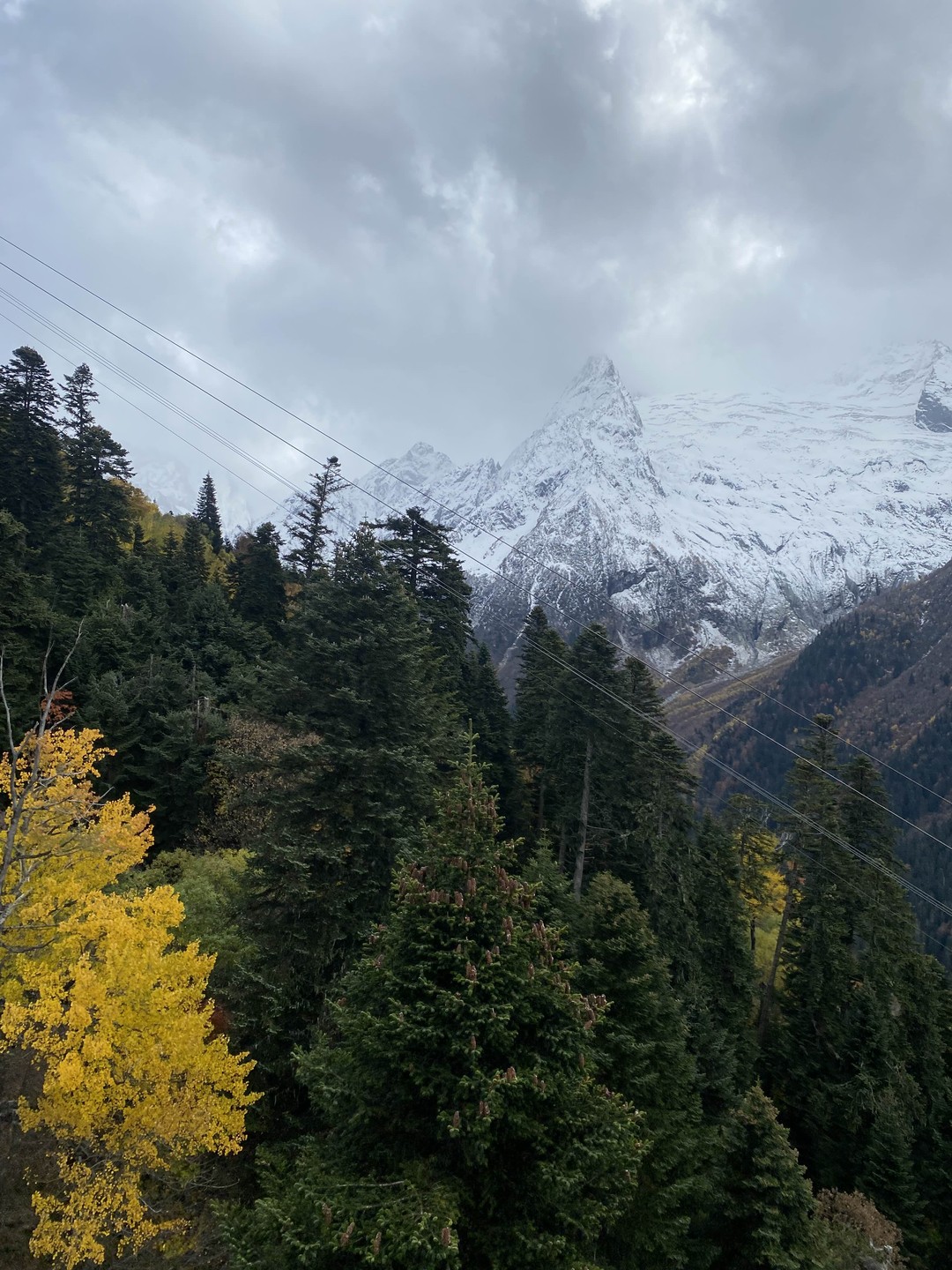 Огромная благодарность за организацию такой экскурсии. Все прошло на высоком уровне☺️