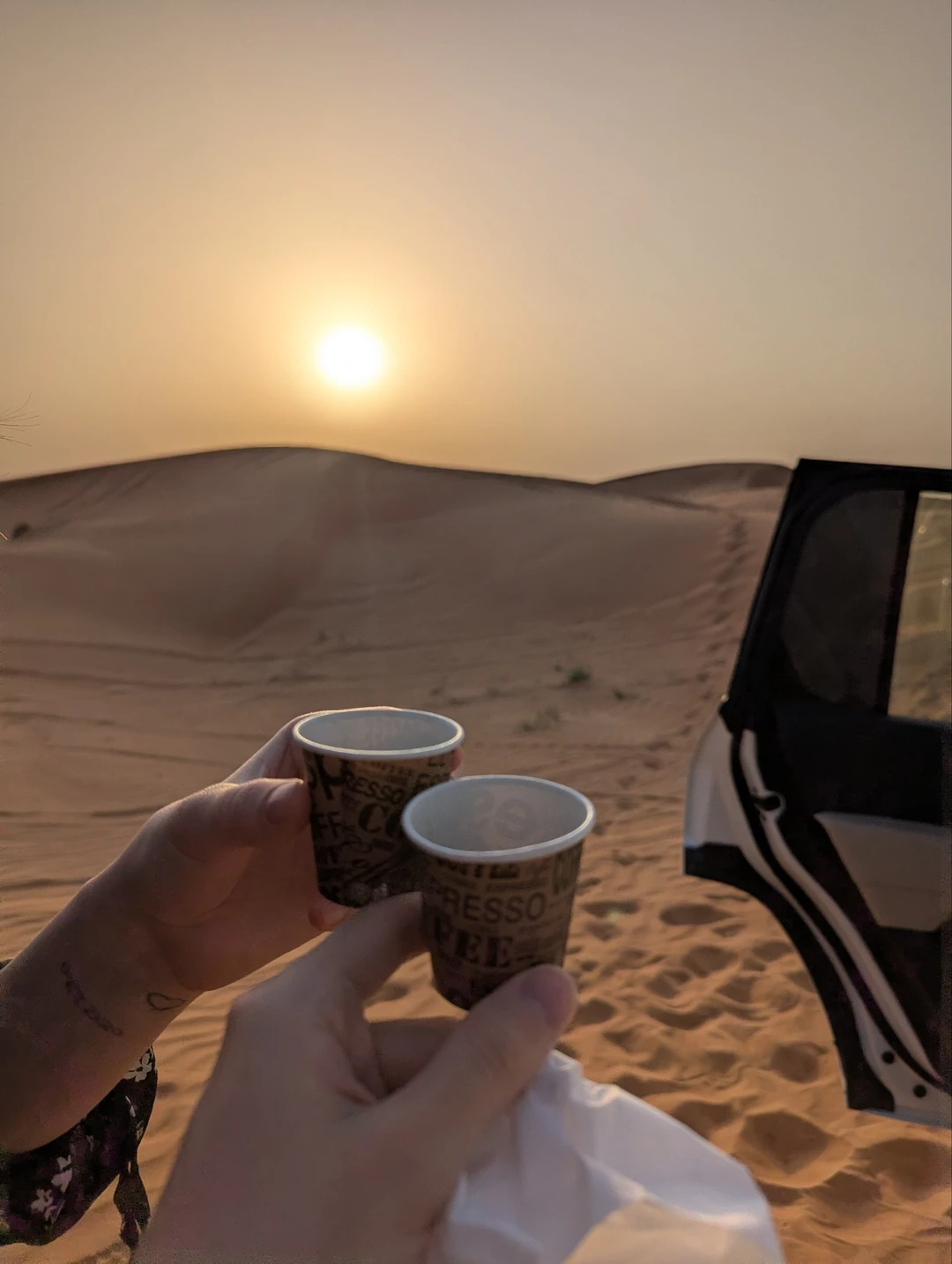 Отличное предложение за адекватные деньги! Искал возможность побывать в пустыне и прочувствовать её атмосферу. С этим