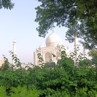 reviews img