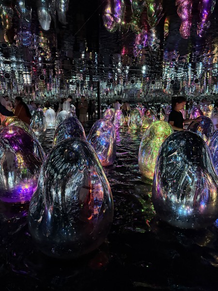 Ездили а Абу Даби 22 февраля. Отличная экскурсия, прекрасный гид и Великолепный Абу Даби! Очень понравилась