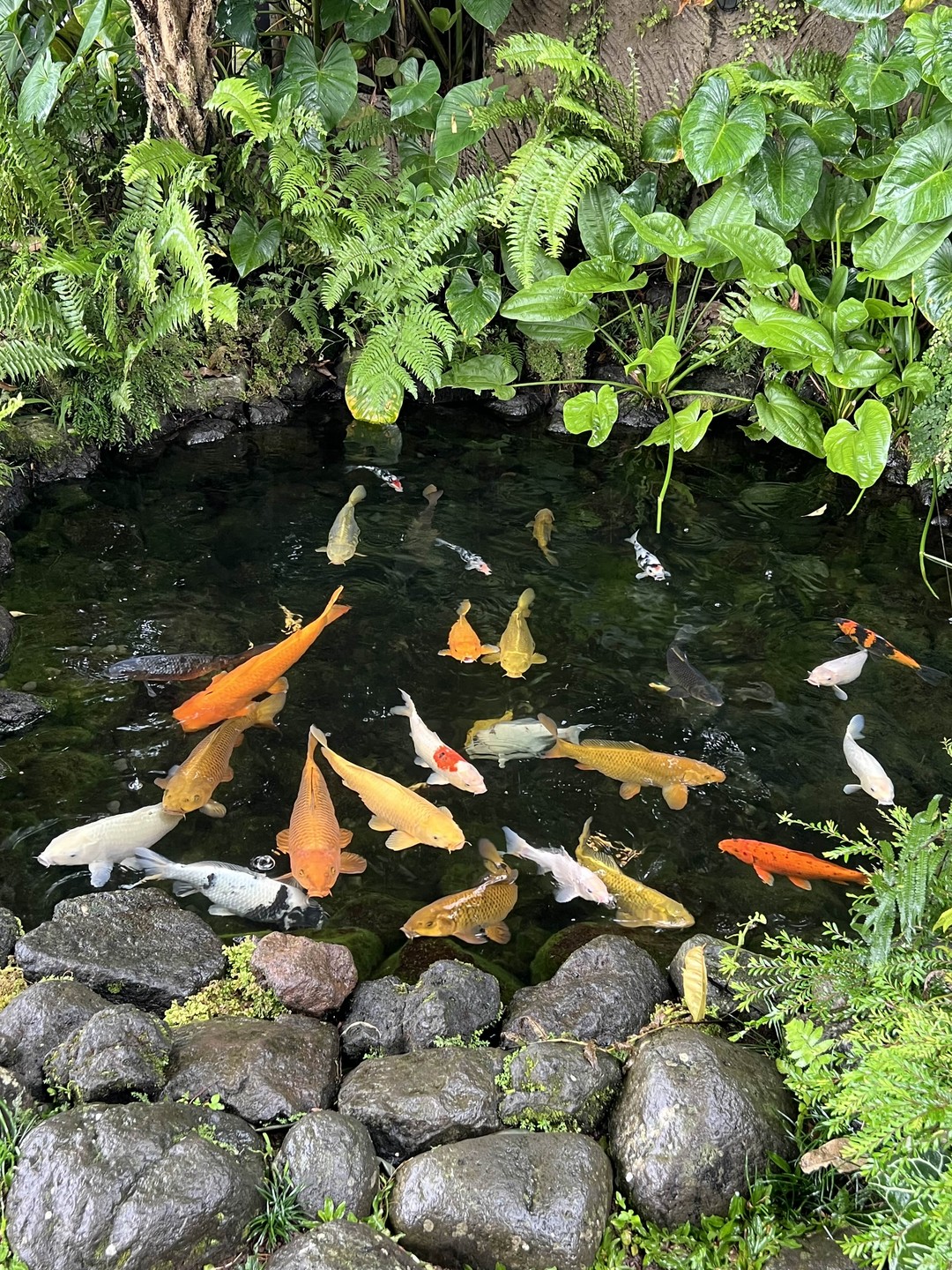 Погружение в культуру острова Ява (Надежда)