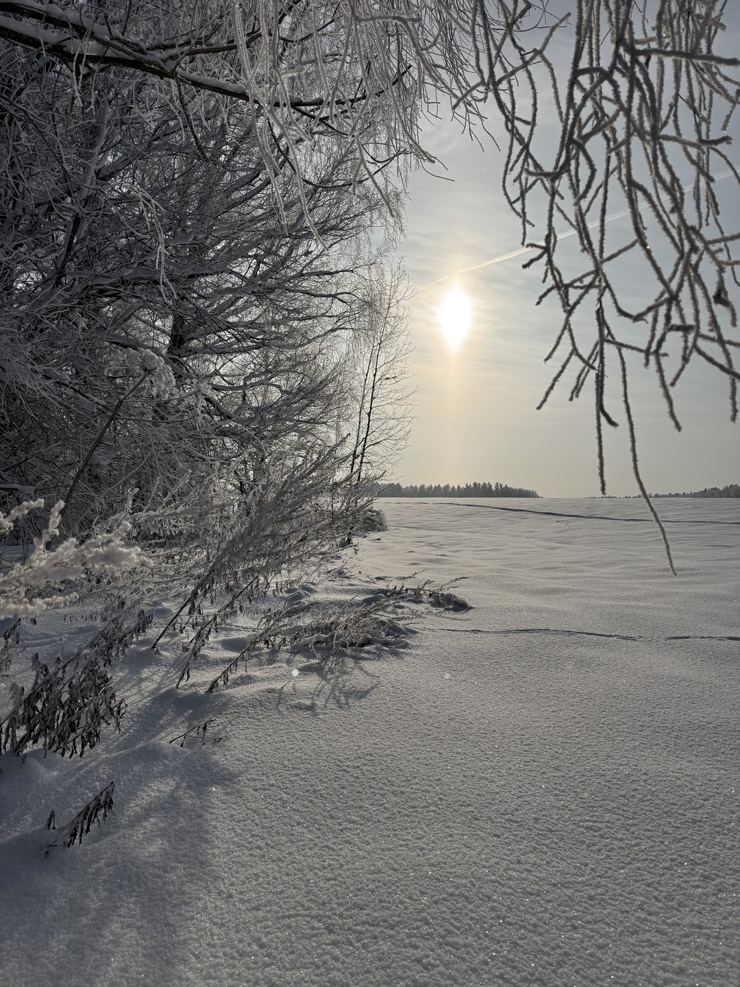Выше всех похвал, нам очень понравилось, бесконечно приятные люди нас сопровождали, все было легко и не напряжно, спасибо огромное!