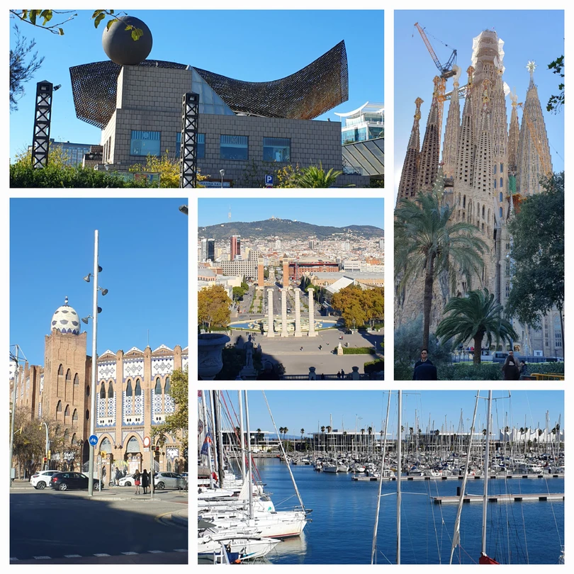 Спасибо Александру за познавательно-ознакомительную экскурсию