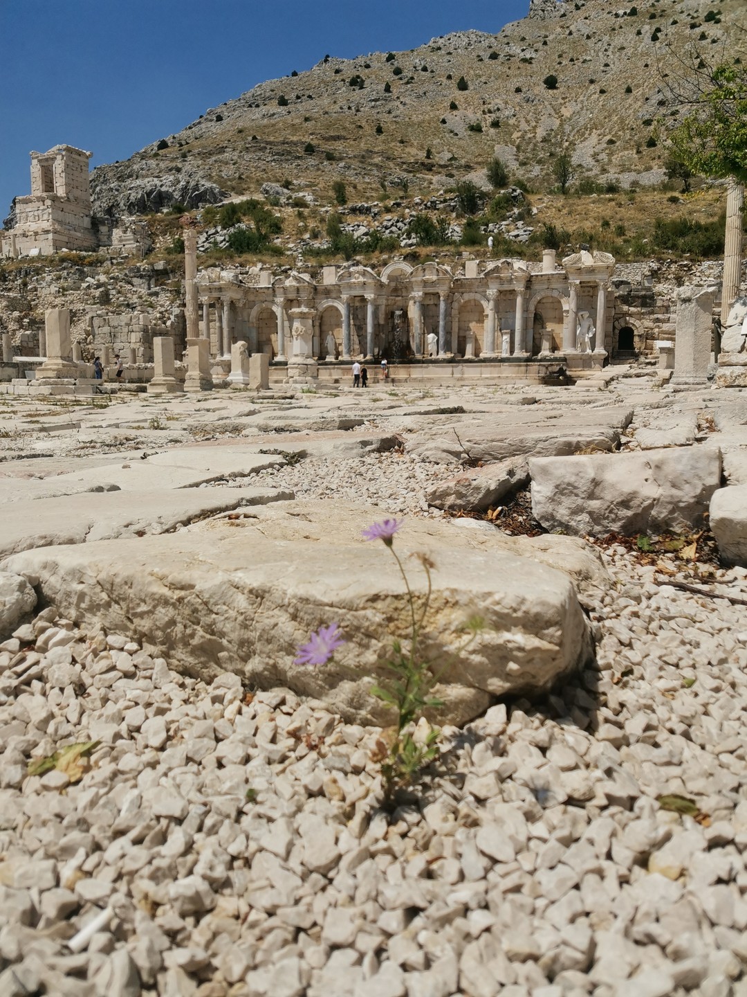 Возвращаемся из поездки, слегка уставшие, но под впечатлением от увиденного и услышанного. Спасибо, Угур, за прекрасно проведенный день!