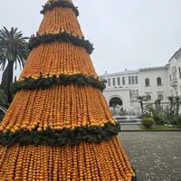 Фото отзыва 1: экскурсия "Сухум, Черниговка и термальные источники — из Гагры (билеты включены)"