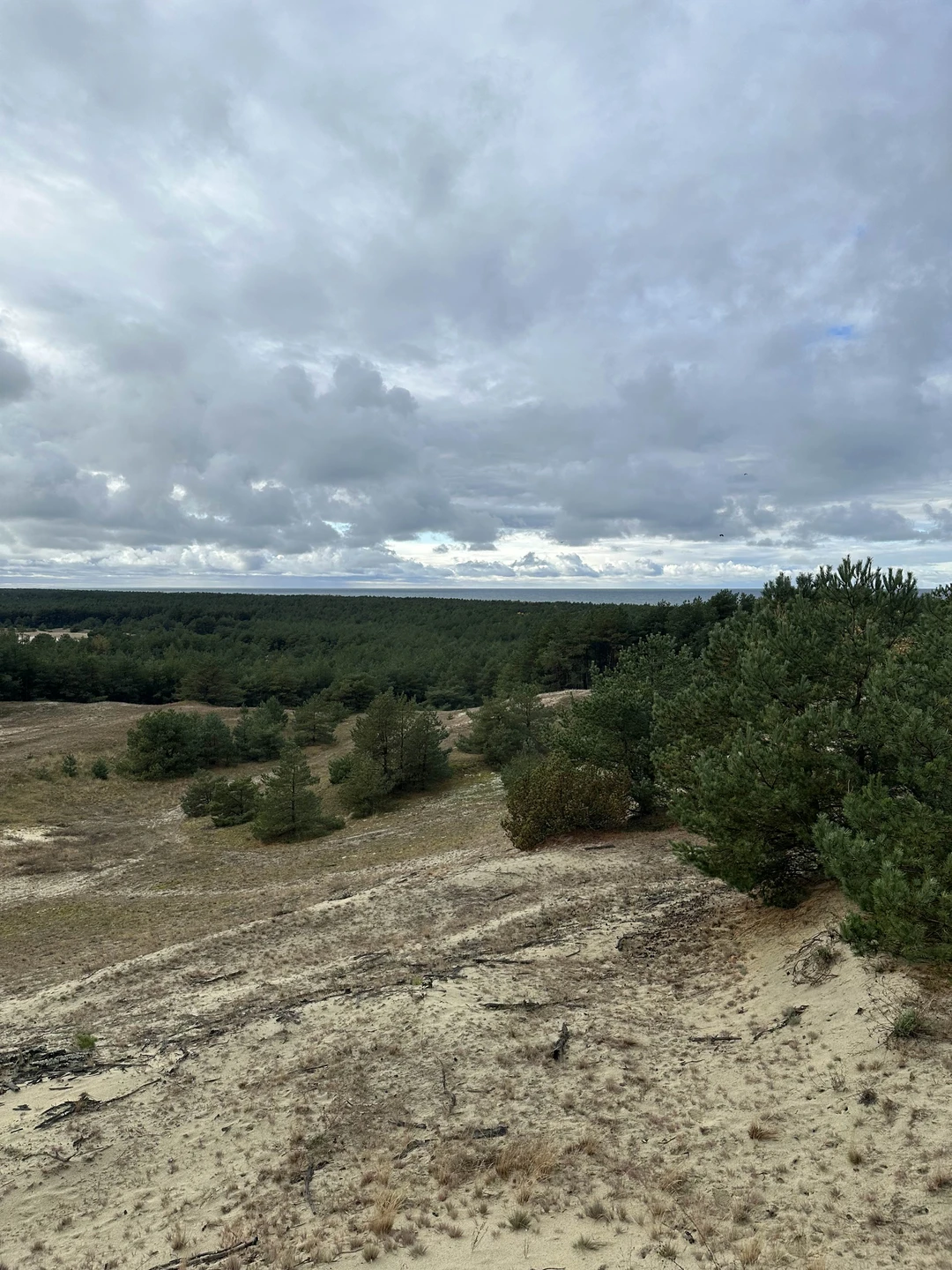 Утренняя Куршская коса из Зеленоградска на автобусе (Александра)