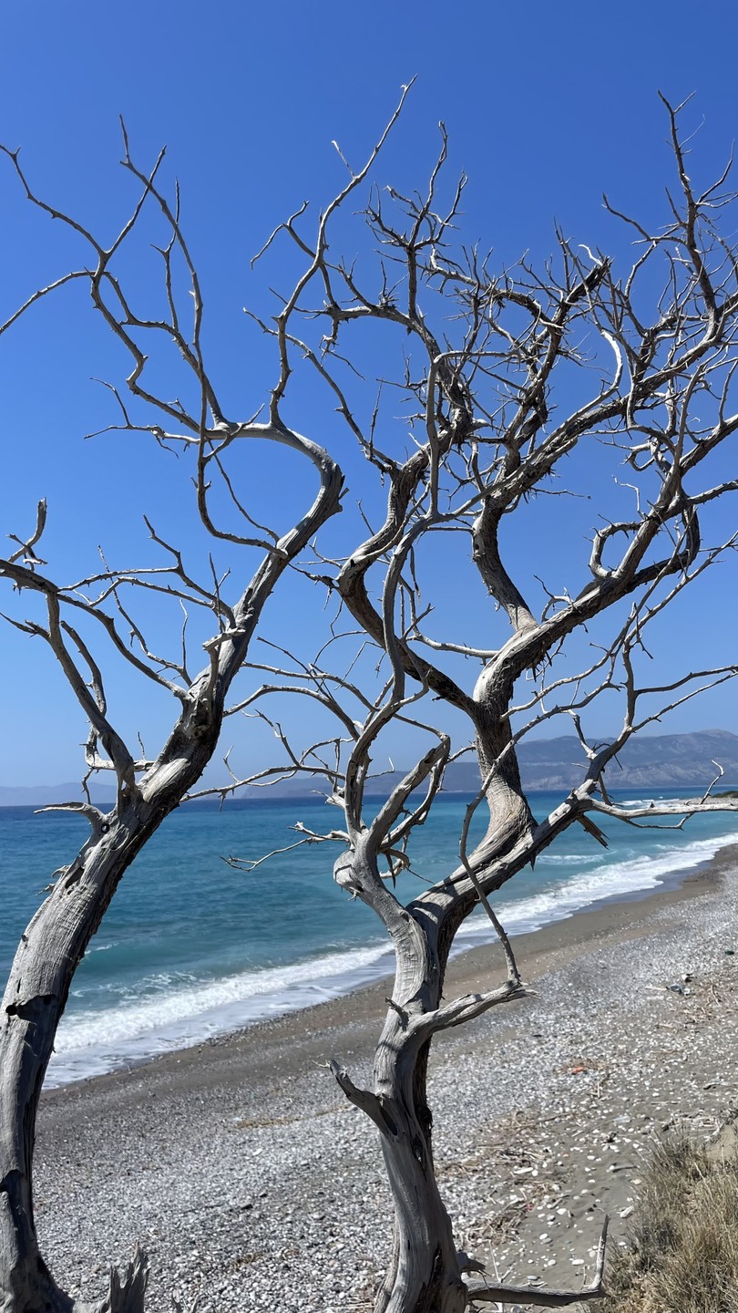 Калейдоскоп красот и главных достопримечательностей Родоса (Ирина)