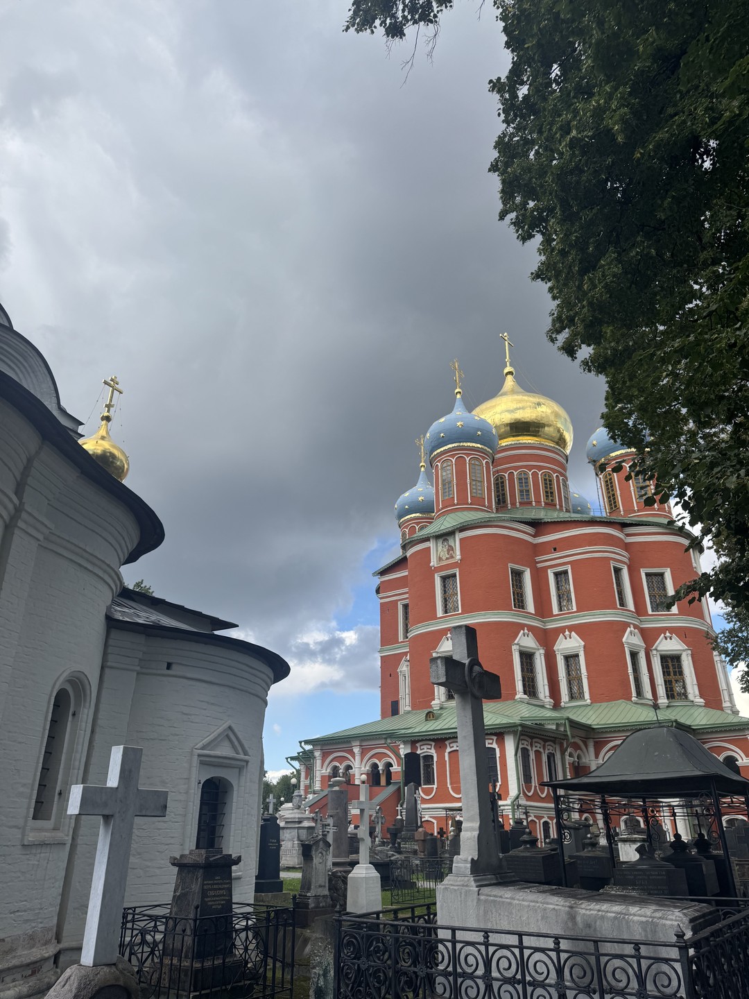 Некрополь Донского монастыря (Владислава)