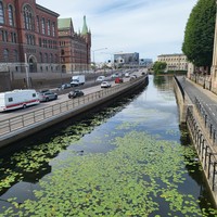 Фото отзыва 3: экскурсия "Старый город: в гостях у Карлсона"