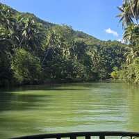 Фото отзыва 1: экскурсия "Бохол: волшебство природы"