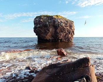 Кандалакшский и Терский берега Белого моря