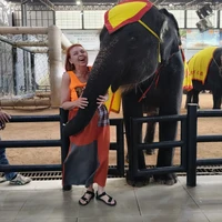 Фото отзыва 1: экскурсия "Из Паттайи — в парк растений «Нонг Нуч» (с обедом или без)"