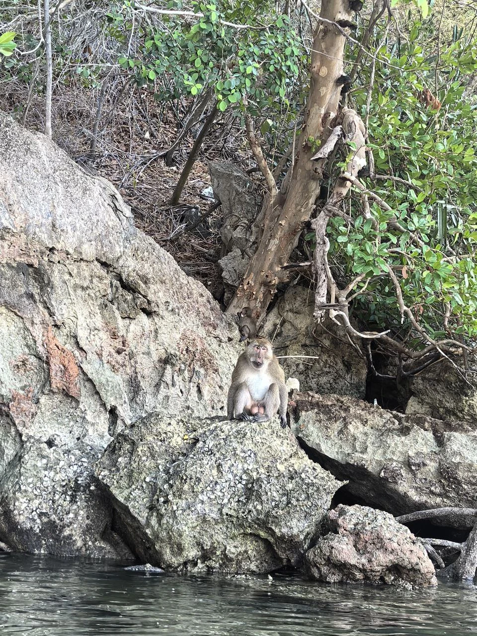 Все прошло прекрасно, на острове были практически одни, еще одна группа туристов (человек 5-6) не счет