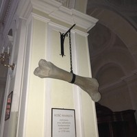 Фото отзыва 3: экскурсия "По улицам прекрасной Варшавы"