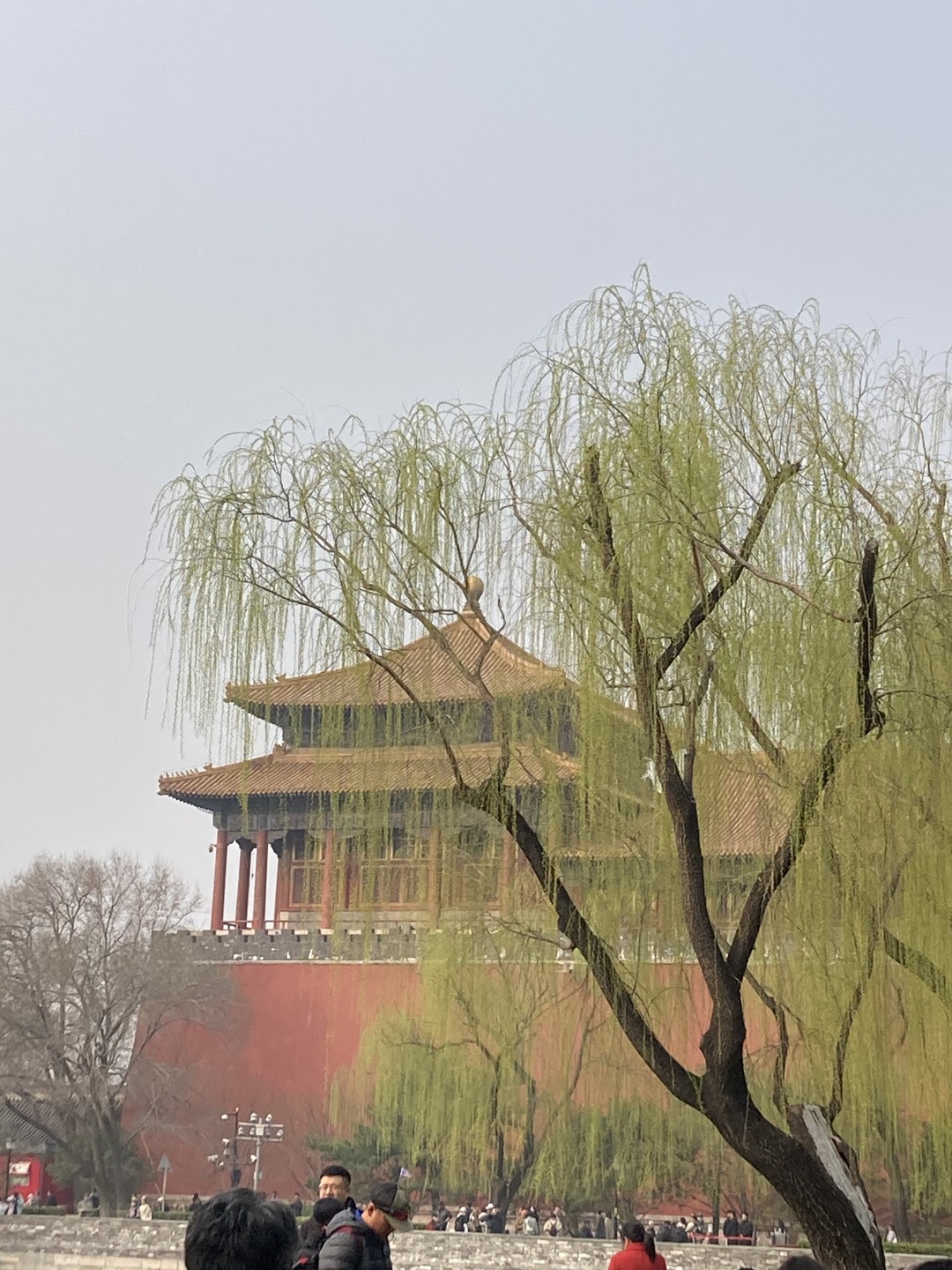 Экскурсия отличная - без Максима посещение Запретного города было бы куда менее интересным и более сложным