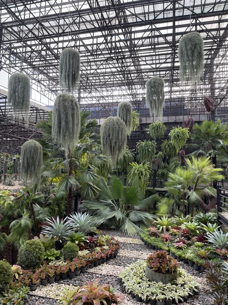 В первую очередь хочу сказать спасибо организатору Леониду - очень вежливый и хороший специалист. Помогал не