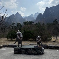 reviews img