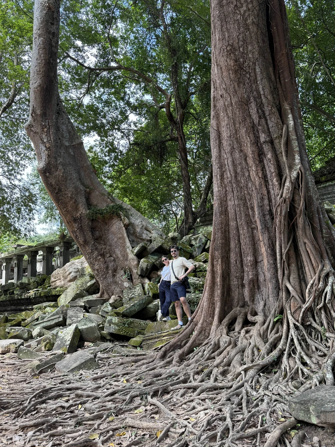 Мы остались в полном восторге от экскурсий!