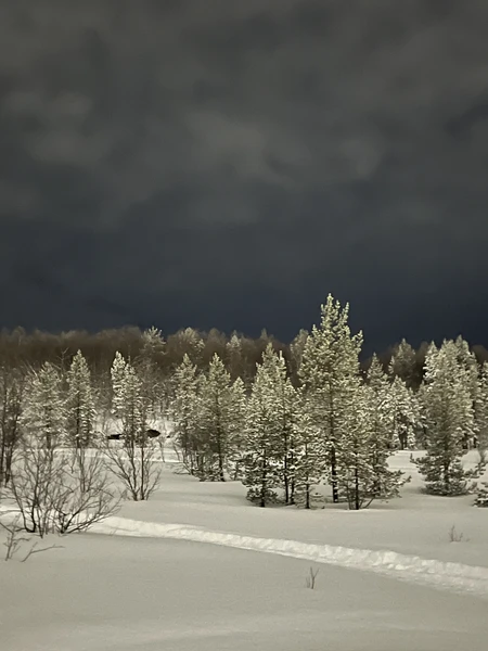 В декабре 2025 была на прогулке-экскурсии с Анатолием и Светланой: ходили на Абрам-мыс. Полярная ночь, великолепный