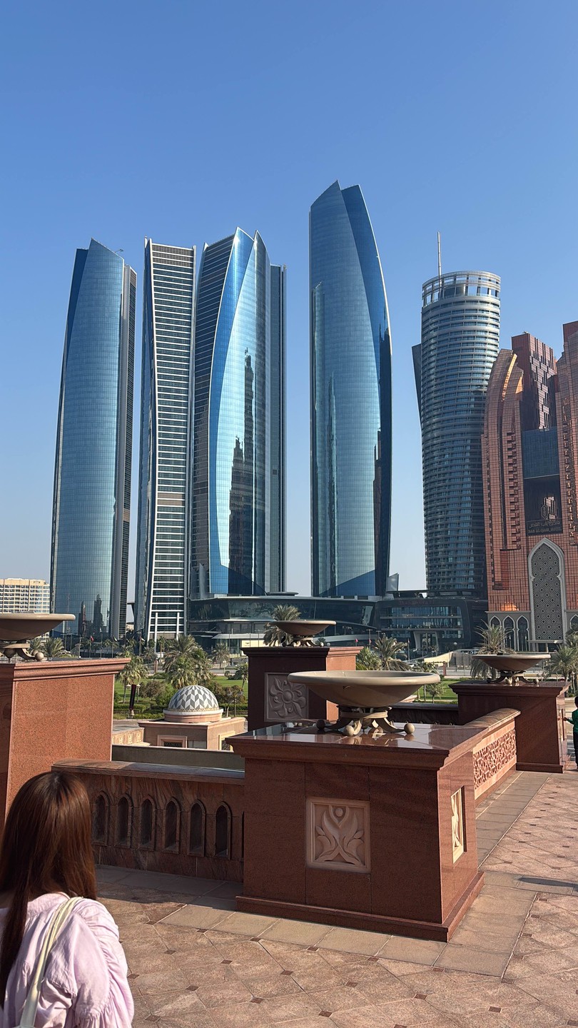 Были на обзорной экскурсии по Абу-Даби из Дубая. Прекрасный гид Девид очень профессионально и занимательно рассказывал