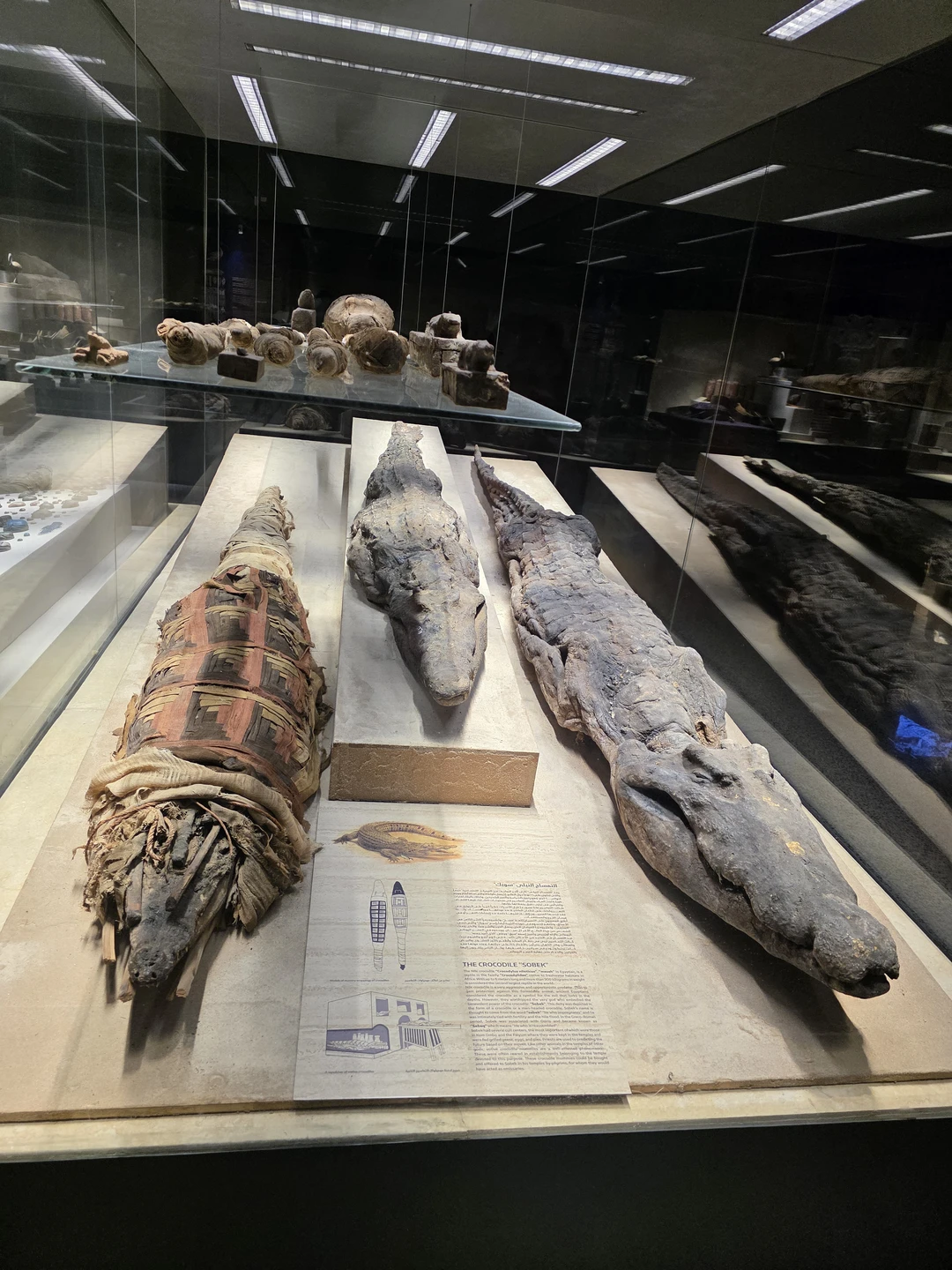 Были на экскурсии в новом музее Шарм-эль-Шейха. Мы забронировали экскурсию экспромтом за пару часов до ее начала.
