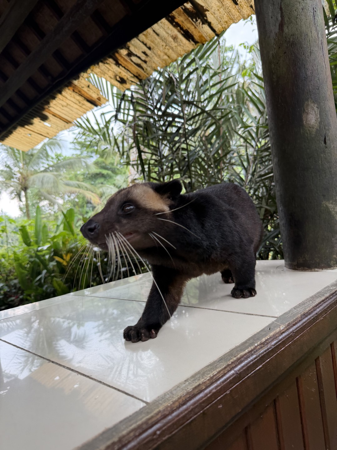 Экскурсия очень понравилась! Мы были с двумя подругами, наша гид Джулия рассказала нам так много всего