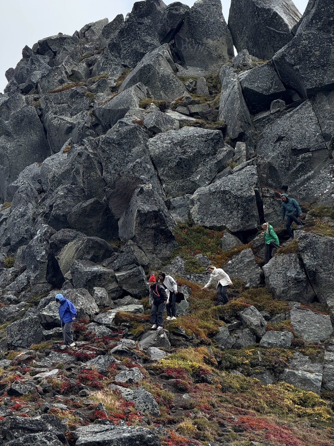 Спасибо Александру за отличную экскурсию, нам очень повезло с гидом! Экскурсию для нас проводил настоящий профессионал,