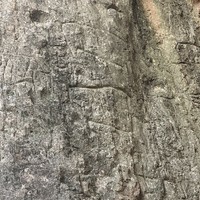 reviews img