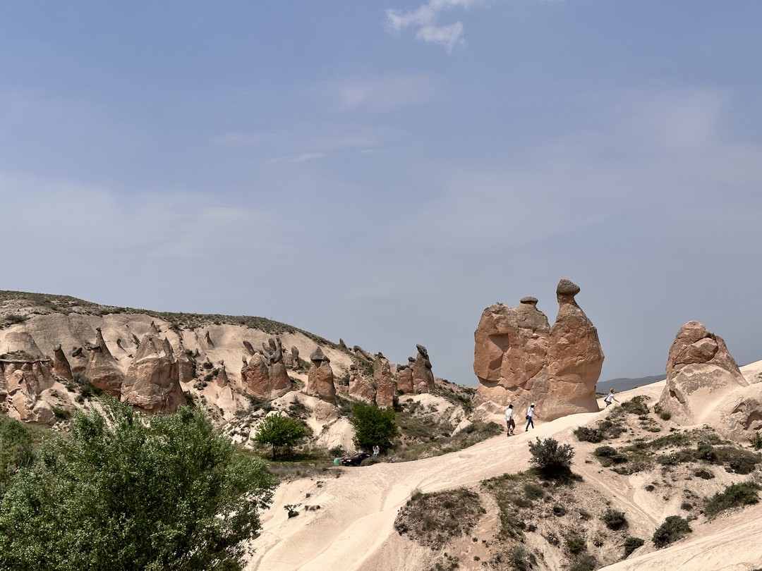 Экскурсия очень интересная, прошла комфортно, понравилась и взрослым, и ребенку! Гид очень внимательный и все интересно