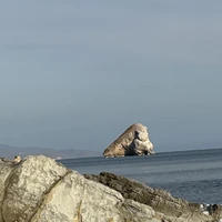 Фото отзыва 1: экскурсия "Трансфер из аэропорта + бухты Владивостока"