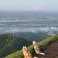 Фото отзыва 2: экскурсия "Рассвет на Бештау: утренний треккинг с хаски!"