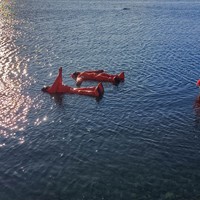 Фото отзыва 2: экскурсия "Айс-флоатинг на Камчатке"