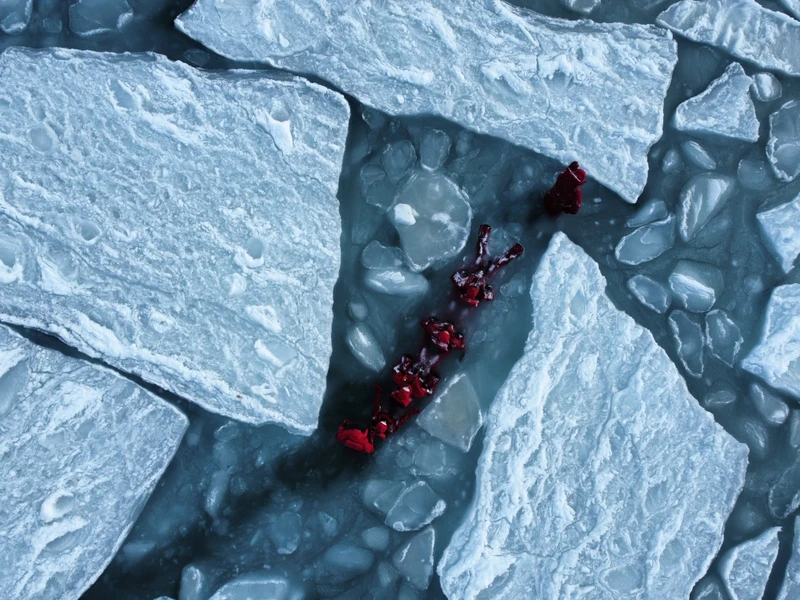 Айс-флоатинг на острове Русский