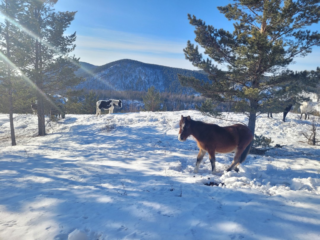 Нам очень понравилась экскурсия, наш гид Семен показал нам потрясающие по красоте места и рассказал нам