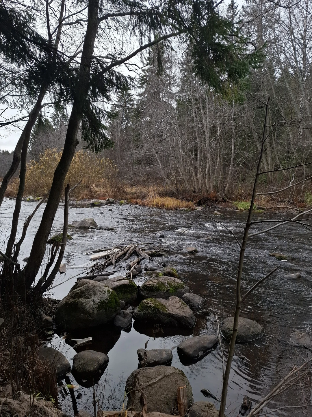 Карелия заповедная: прогулка по экотропе (Олег)