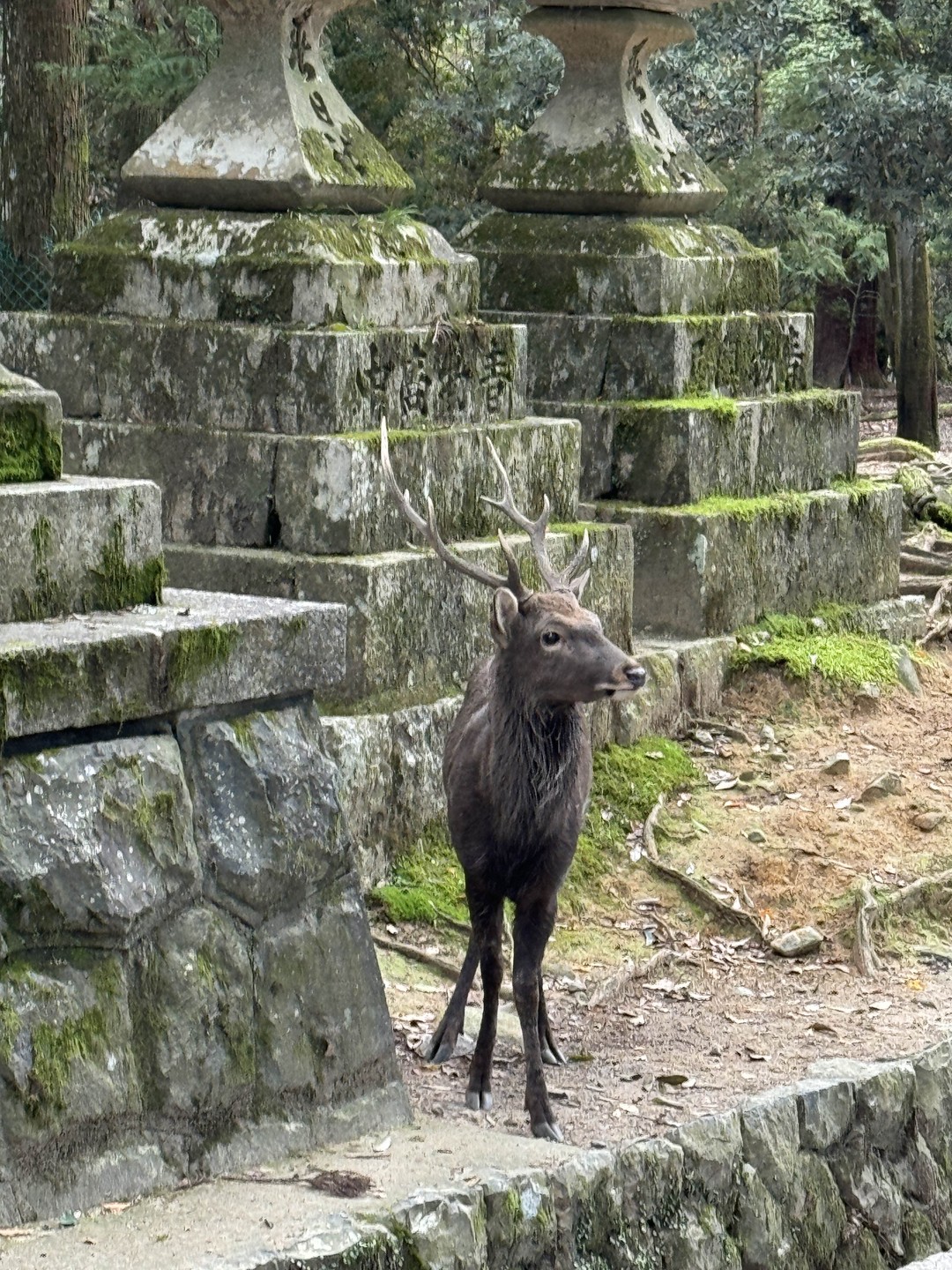 Огромная благодарность Артуру за прогулку! Легко, непринужденно, весело, интересно! Артур нас встретил, сопроводил, отвечал на все